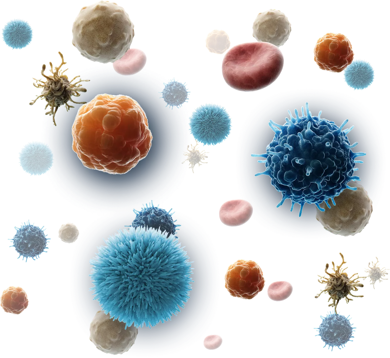 Image showing a three-dimensional illustration of an undefined mix of cell types.