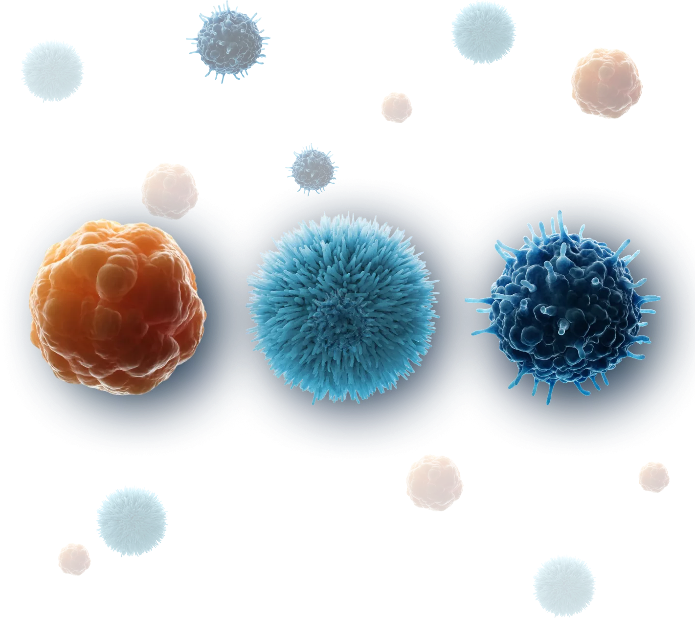 Image showing a three-dimensional illustration of the 3 cell types specific to TREGZI: HSPC, Treg, and Tcon.