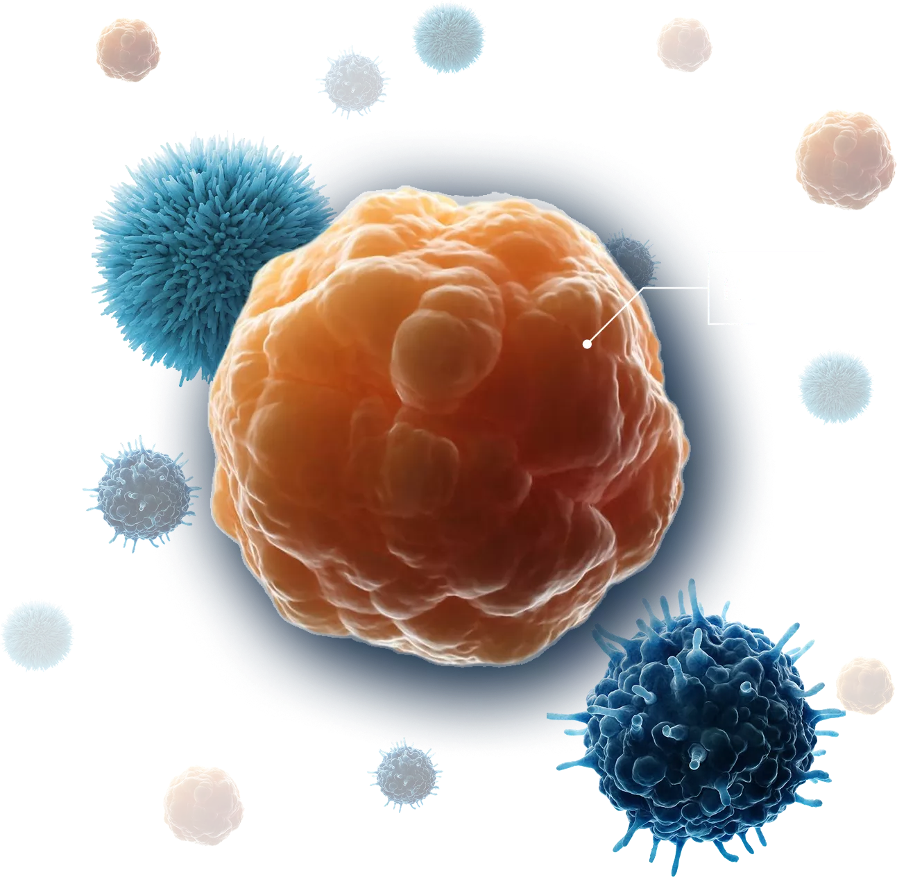 Image showing a three-dimensional illustration of an HSPC.