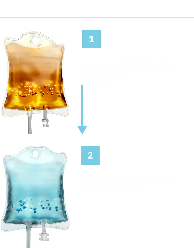 Two IV bags representing TREGZI HSPC and Treg infusions on Day 0.