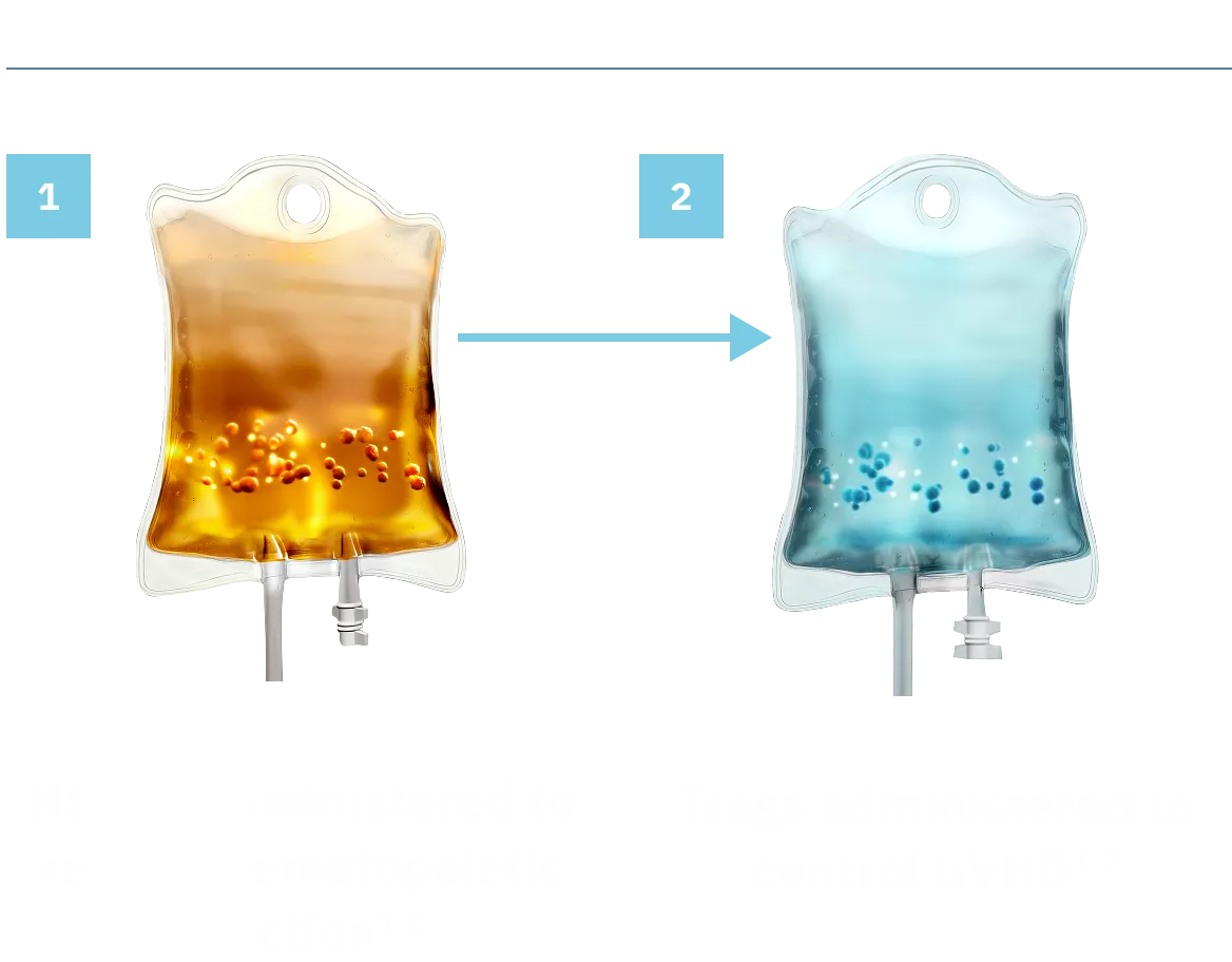 Two IV bags representing TREGZI HSPC and Treg infusions on Day 0.