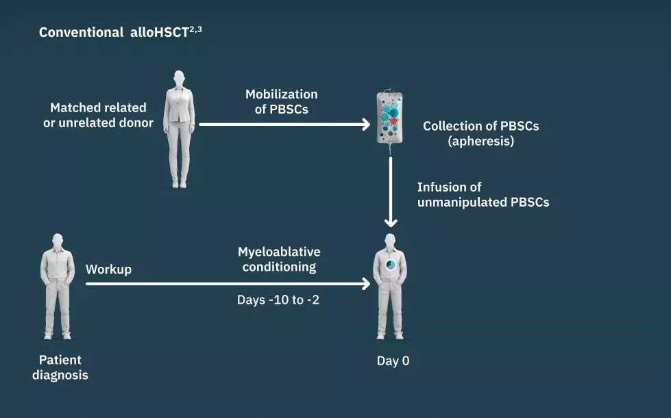 Flowchart showing a high-level workflow of conventional alloHSCT and TREGZI. With TREGZI, similar steps of the workflow are followed.